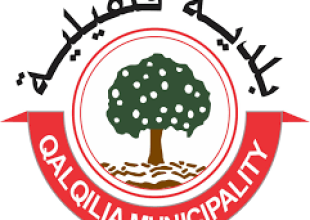 تقرير المدقق الخارجي لسنة  2022