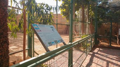 حديقة الحيوانات الوطنية وجهة مميزة لطالبي الرفاهية والمتعة والمعرفة&rdquo;