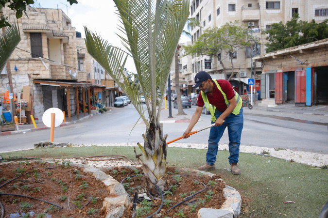 جانب من اعمال قسم الزراعة  زراعة ورود موسمية