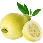 “الجوافة” فاكهة قلقيلية المدللة وتنعش الاقتصاد القلقيلي
